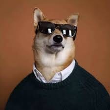 Verónica Ahumada_1 avatar